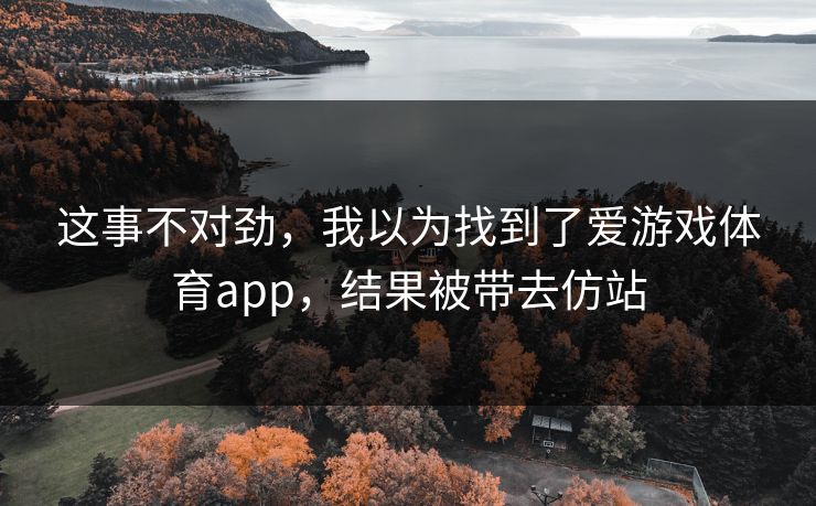 这事不对劲，我以为找到了爱游戏体育app，结果被带去仿站