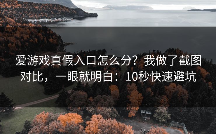 爱游戏真假入口怎么分？我做了截图对比，一眼就明白：10秒快速避坑