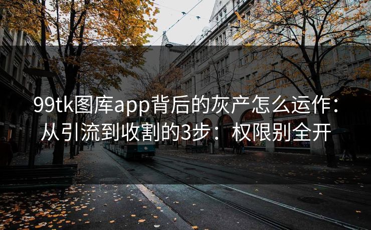 99tk图库app背后的灰产怎么运作：从引流到收割的3步：权限别全开