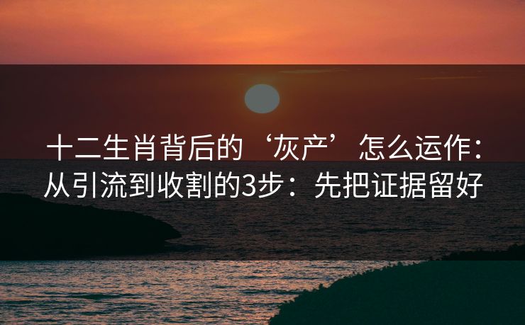 十二生肖背后的‘灰产’怎么运作：从引流到收割的3步：先把证据留好