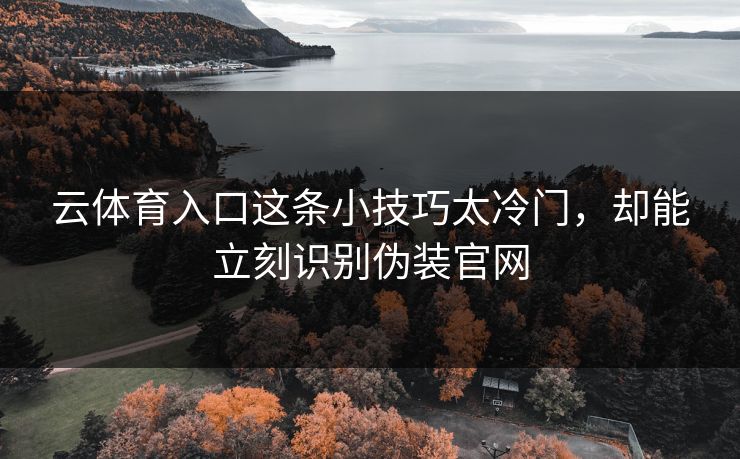 云体育入口这条小技巧太冷门，却能立刻识别伪装官网