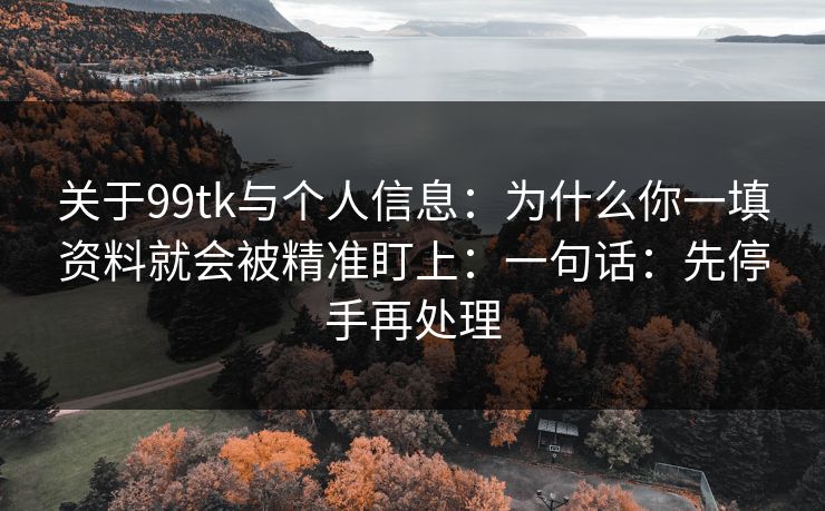 关于99tk与个人信息：为什么你一填资料就会被精准盯上：一句话：先停手再处理