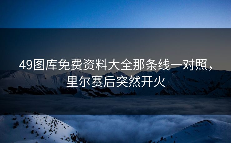 49图库免费资料大全那条线一对照，里尔赛后突然开火